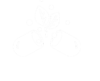 IMi-PHAR
